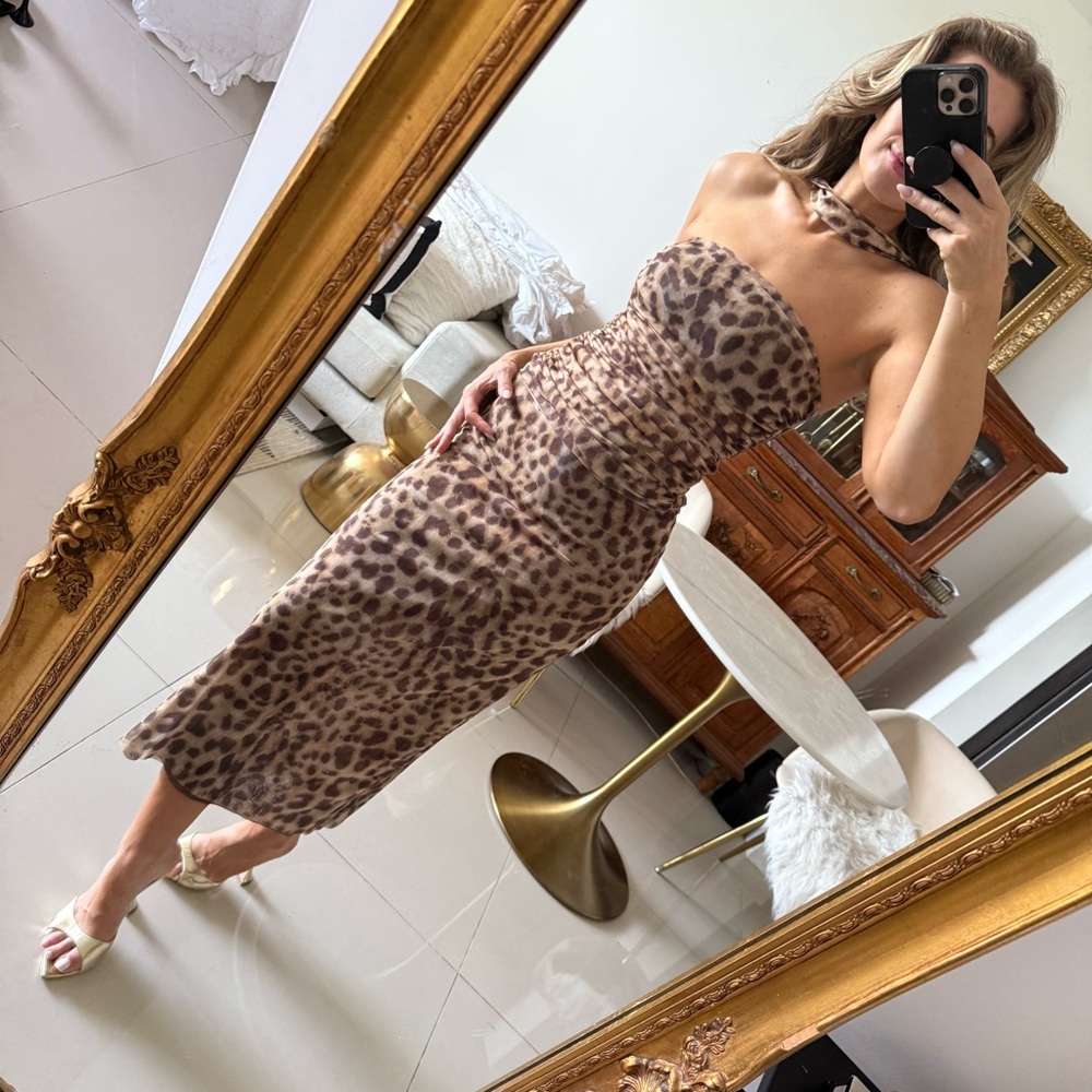 Zara Leopard Skirt Set